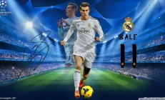 开云官网-选项（供选择）