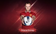 开云下载-独木擎天，戴维斯杯的孤勇者，如何扛起比澳网更重的王冠