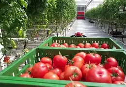 快船失利低追，斯吉伊谱写新篇章的简单介绍