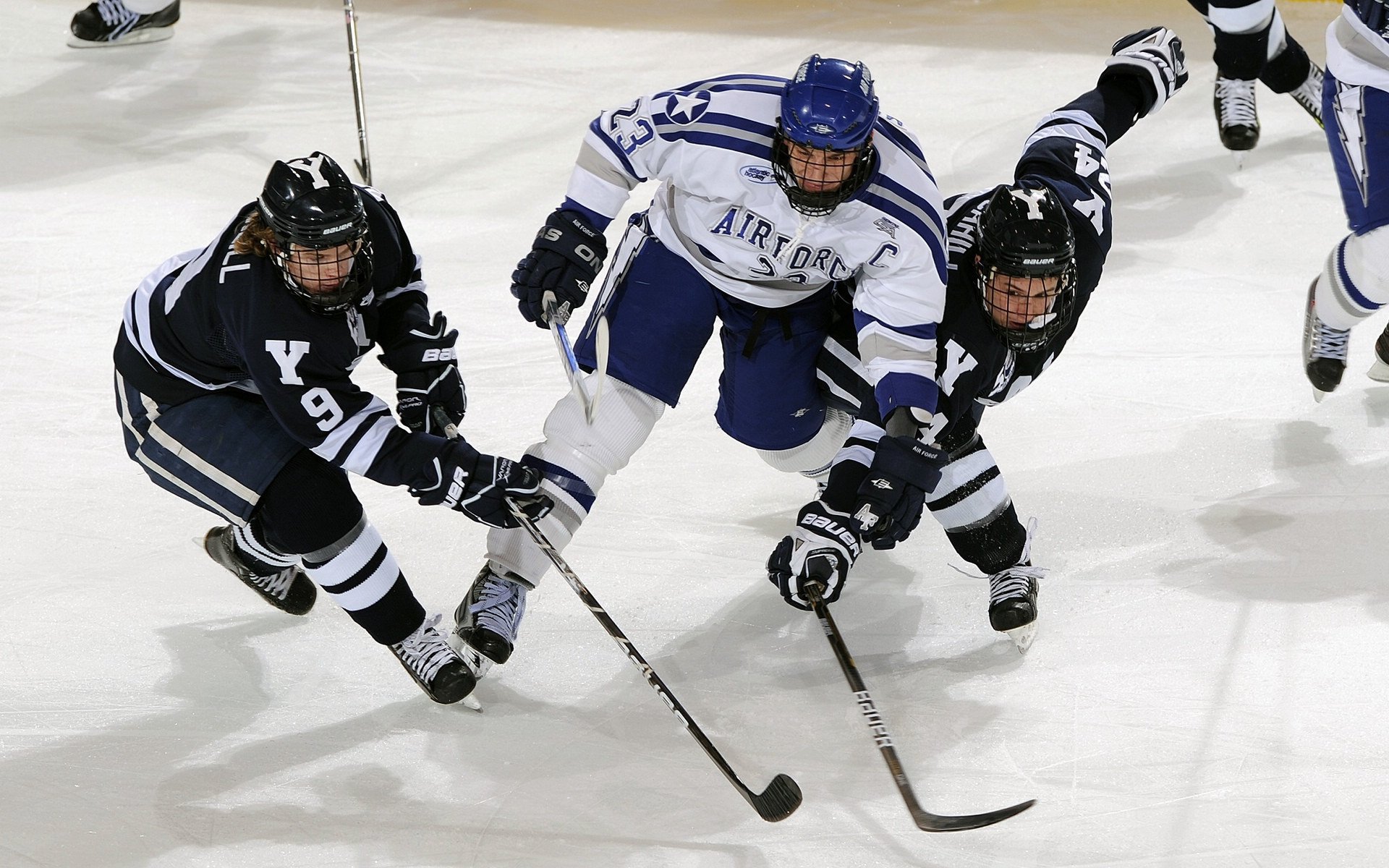 范弗利特，德甲争冠夜，他就是最后一块拼图